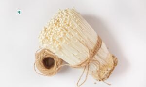 Health Benefits of Lion’s Mane Mushroom