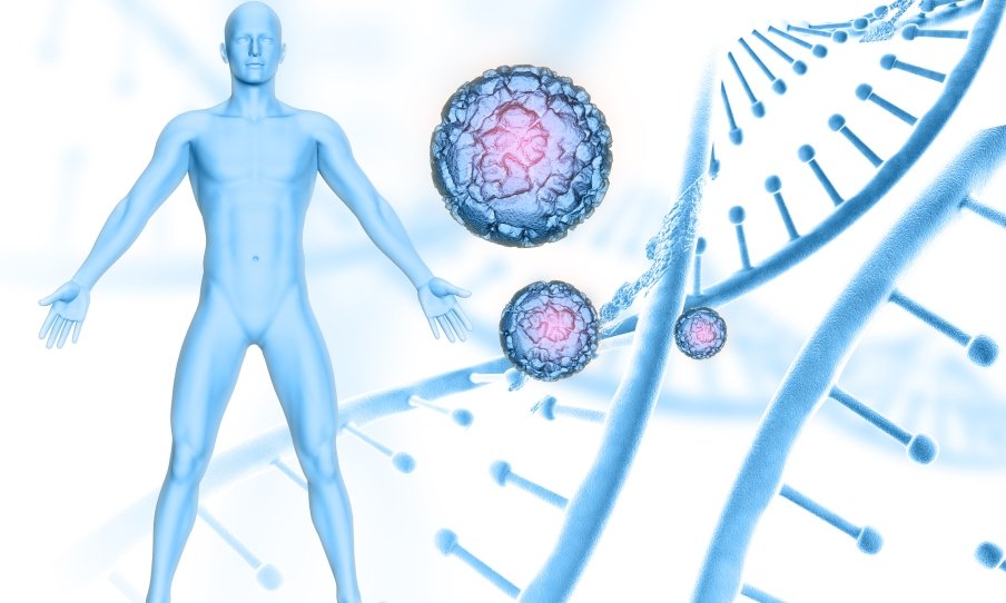 The Cellular Foundations of Healing