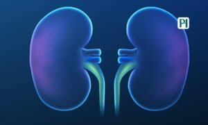 Telitacicept IgA Nephropathy